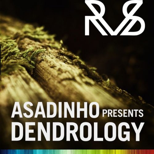 1419703916_asadinho-presents-dendrology