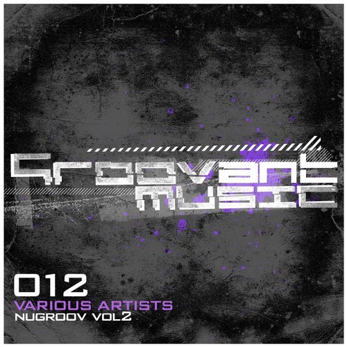 VA-NuGroov-Vol.-2