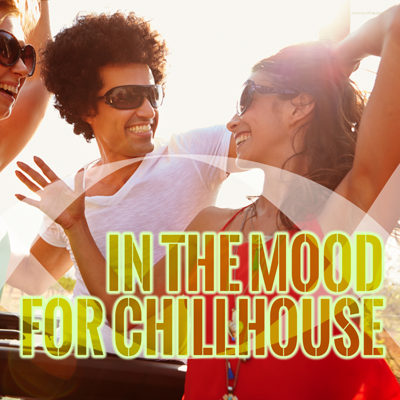 VA - In The Mood For Chillhouse (2015)